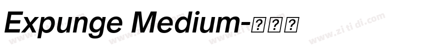 Expunge Medium字体转换